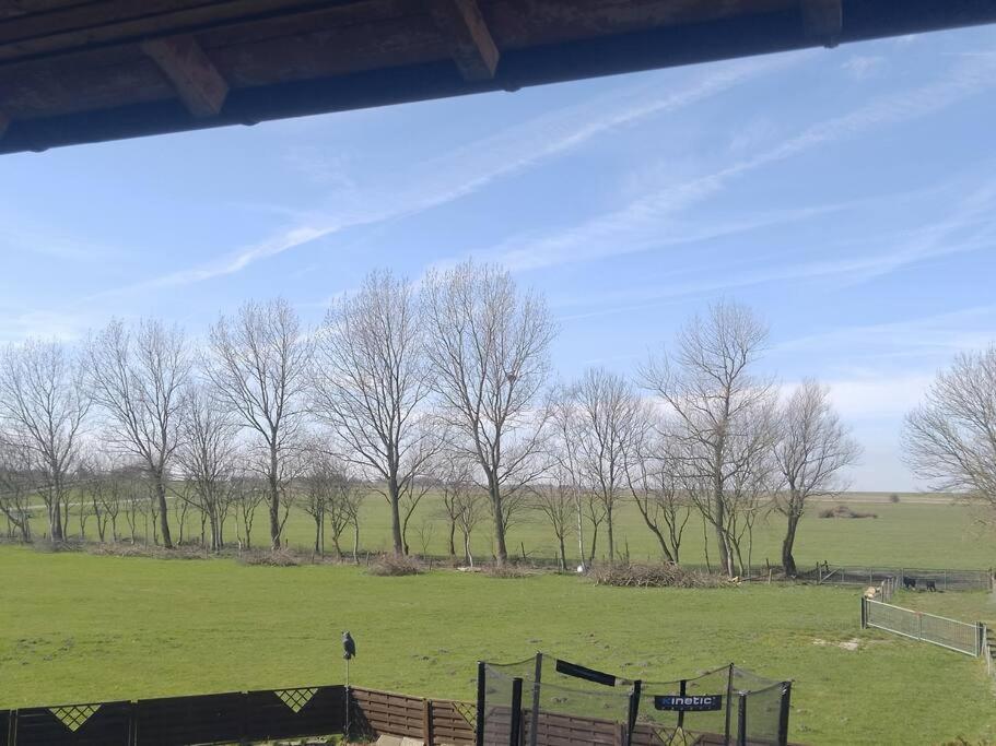 Erholung Auf Der Deichschaeferei Mit Deichblick Daire Schillig Dış mekan fotoğraf